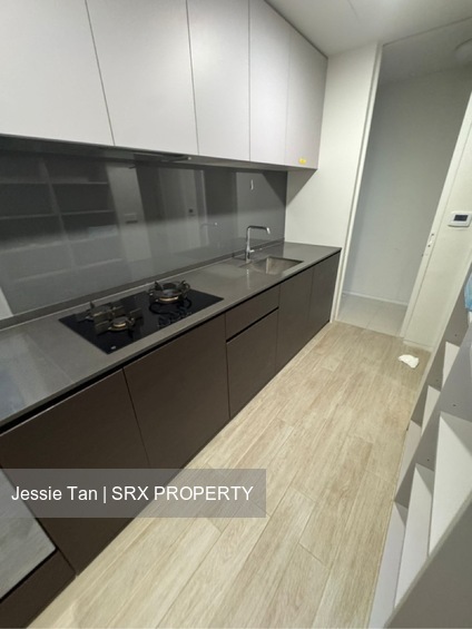 Amber Park (D15), Condominium #531978841